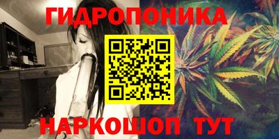 спайс Обь