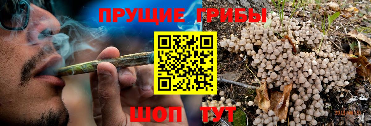 Галлюциногенные грибы мухоморы  Псилоцибиновые грибы Psilocybine cubensis  Семилуки  Вход с VPN 