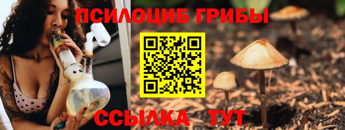 Псилоцибиновые грибы мицелий Семилуки